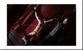 /album/fotogalerie-judith/judith01-jpg/